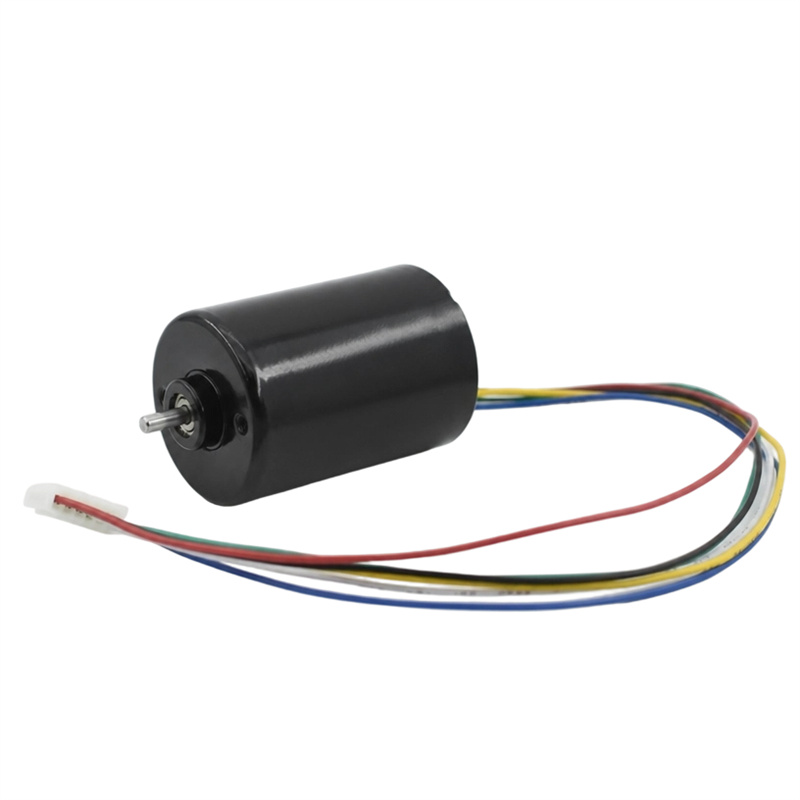 Motore CC senza spazzole 3650BL